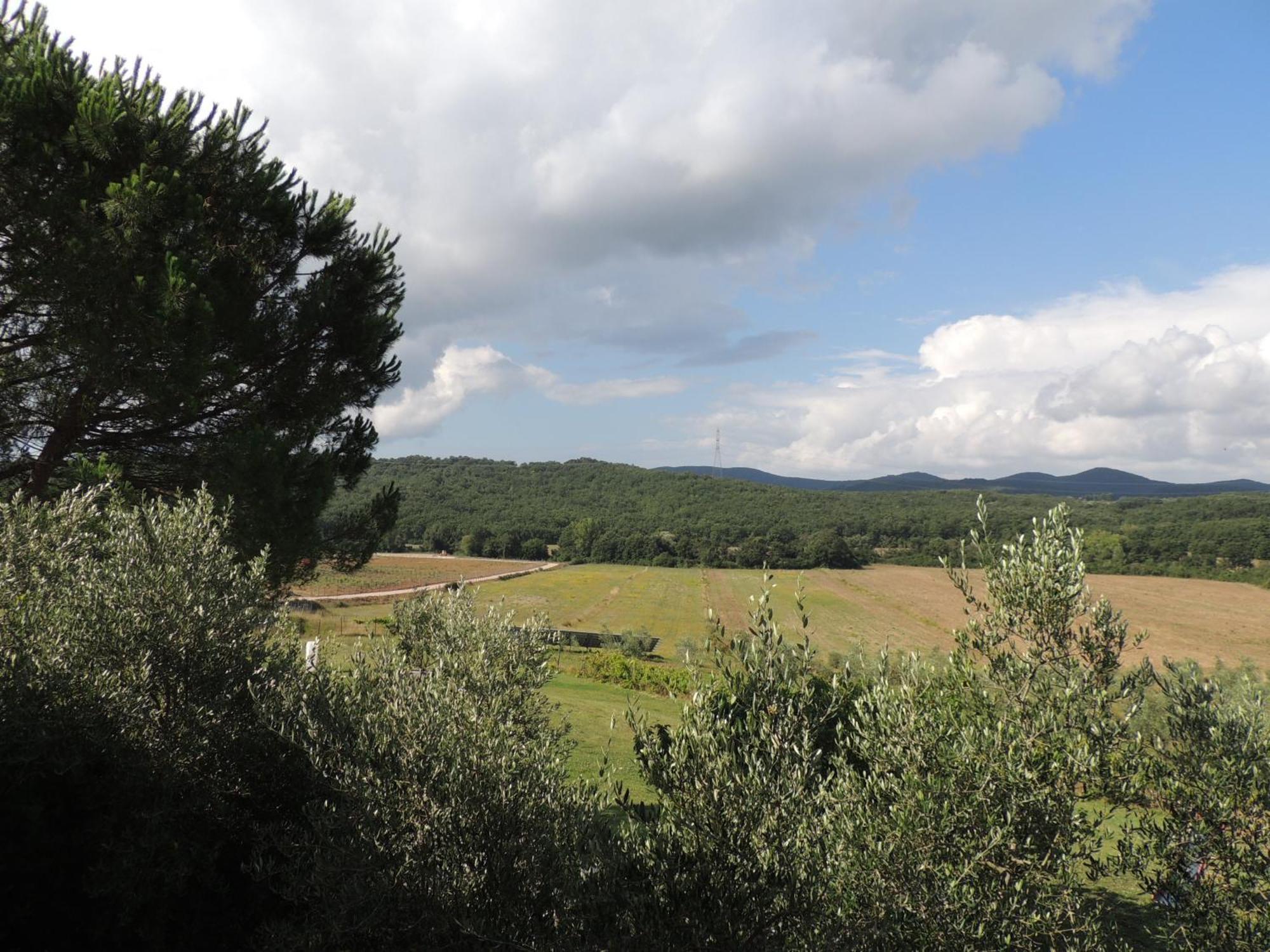 Agriturismo Podere Borgognano Massa Marittima Camera foto