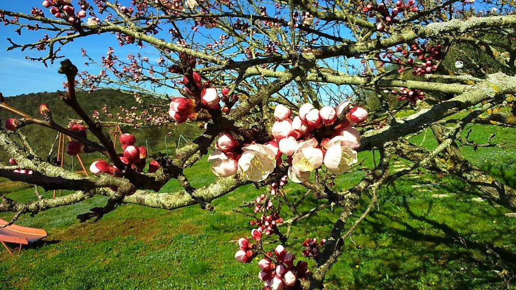 Agriturismo Podere Borgognano Massa Marittima Esterno foto