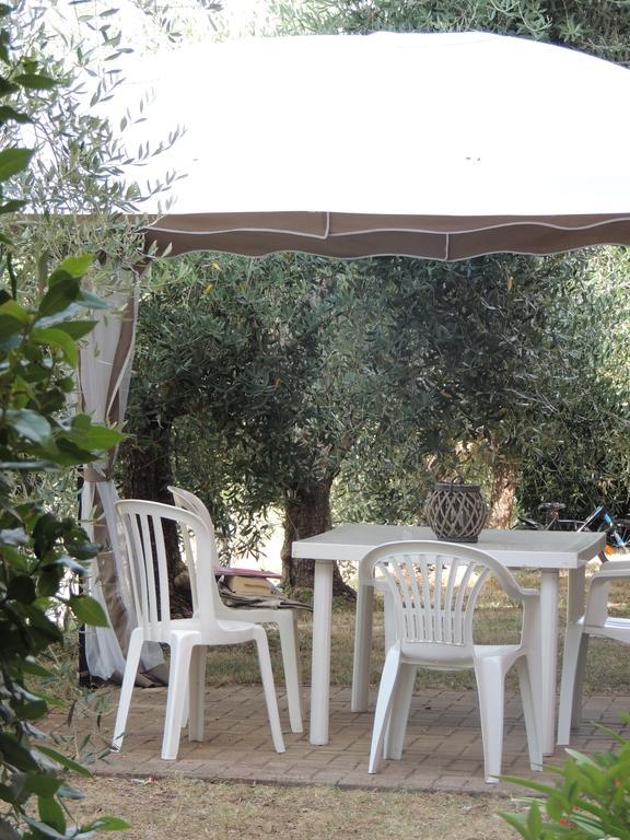 Agriturismo Podere Borgognano Massa Marittima Esterno foto