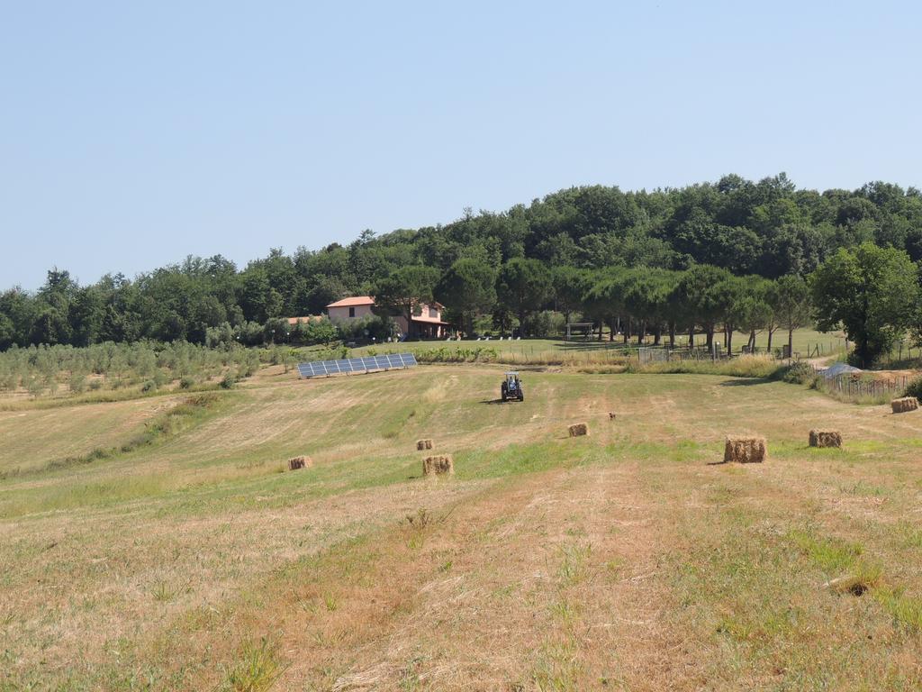 Agriturismo Podere Borgognano Massa Marittima Esterno foto
