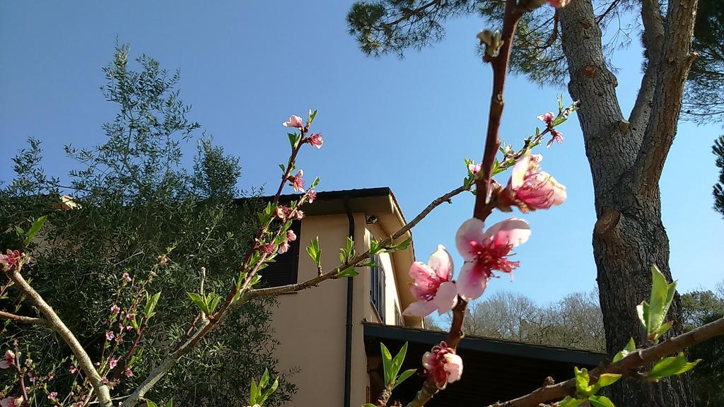 Agriturismo Podere Borgognano Massa Marittima Esterno foto