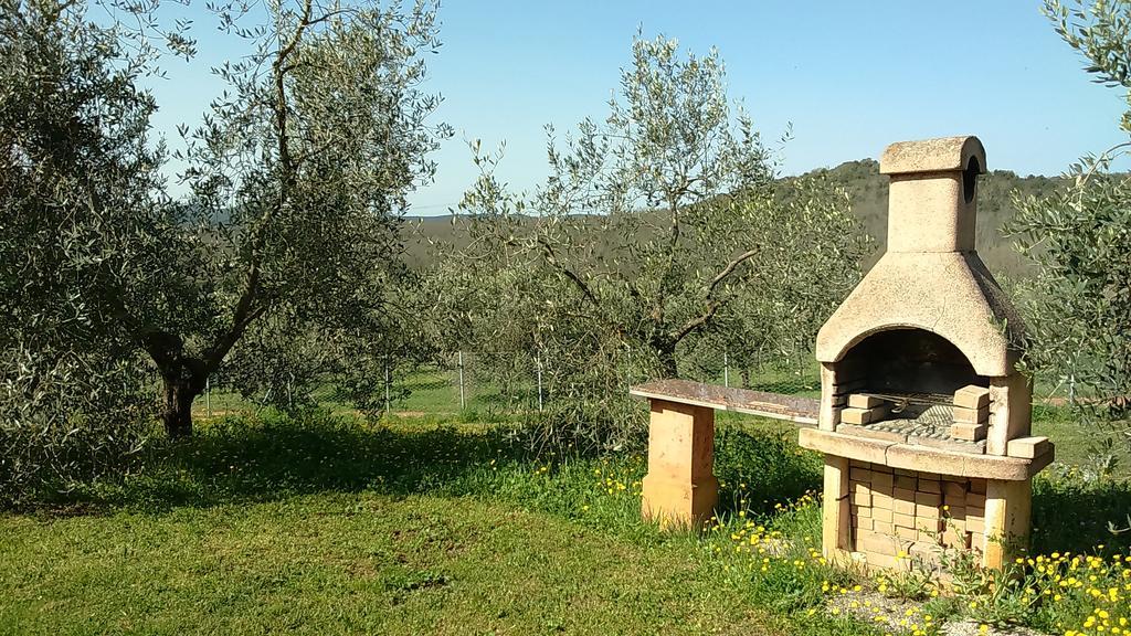 Agriturismo Podere Borgognano Massa Marittima Esterno foto