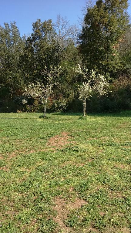 Agriturismo Podere Borgognano Massa Marittima Esterno foto