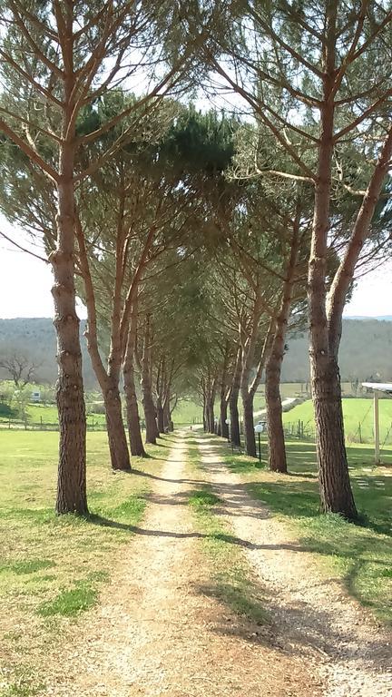 Agriturismo Podere Borgognano Massa Marittima Esterno foto