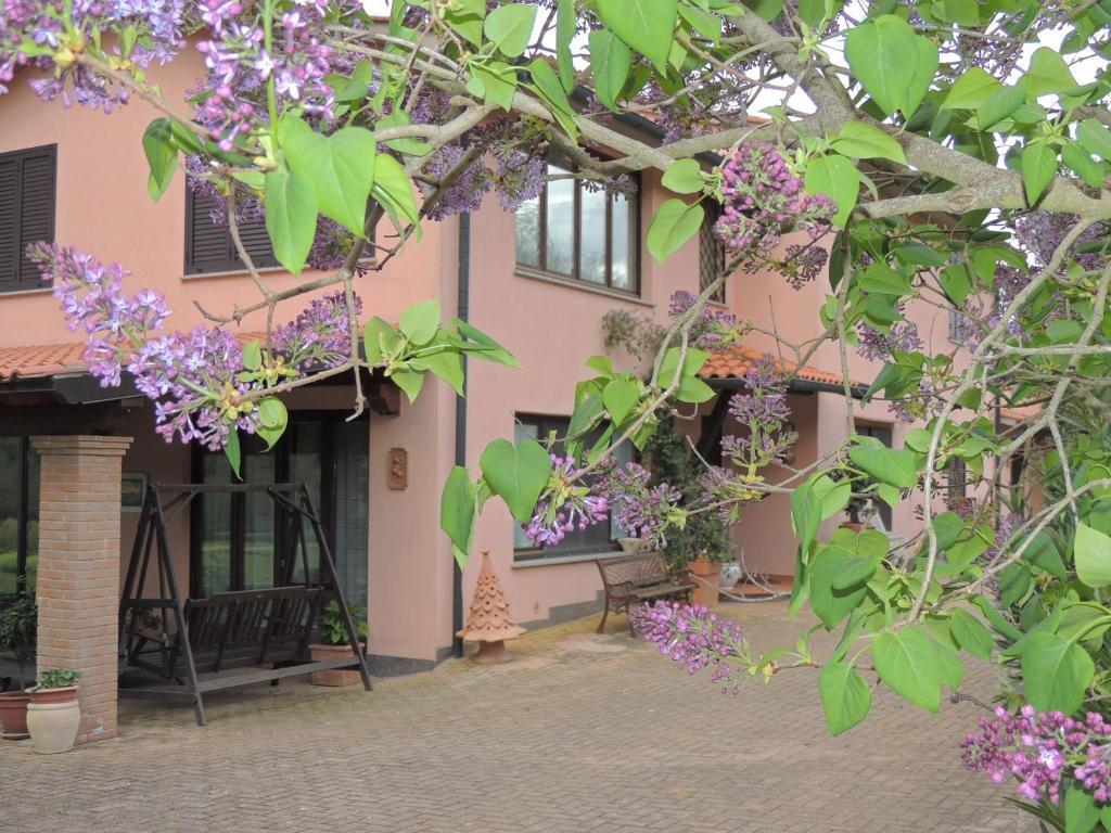 Agriturismo Podere Borgognano Massa Marittima Esterno foto