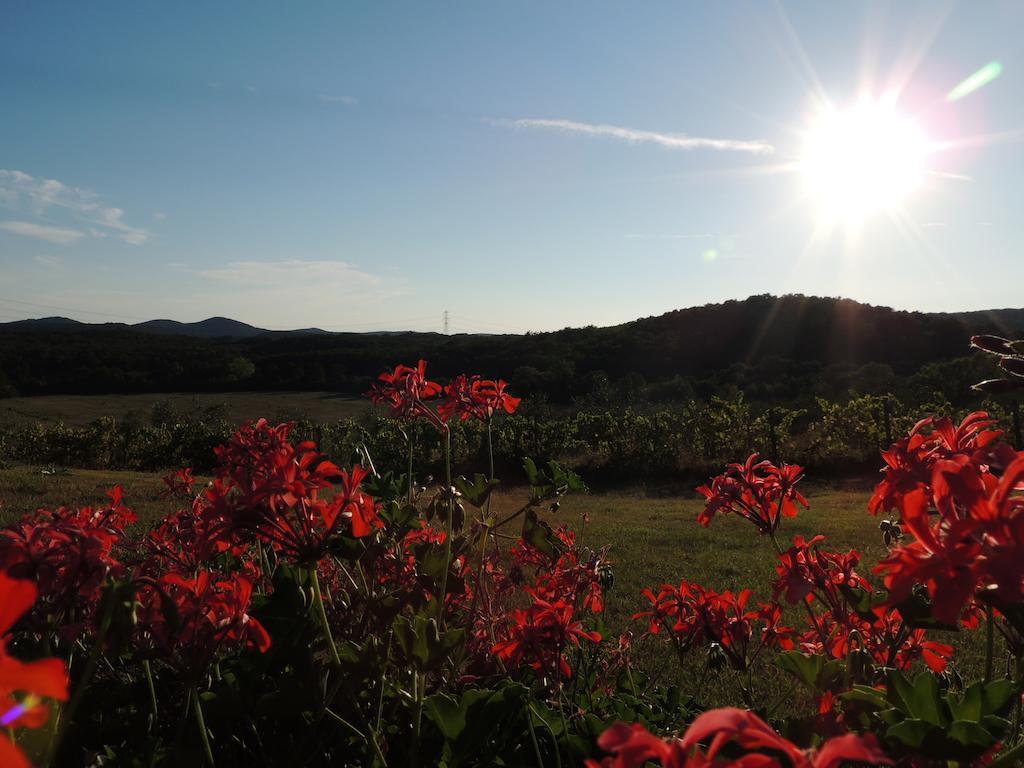 Agriturismo Podere Borgognano Massa Marittima Esterno foto